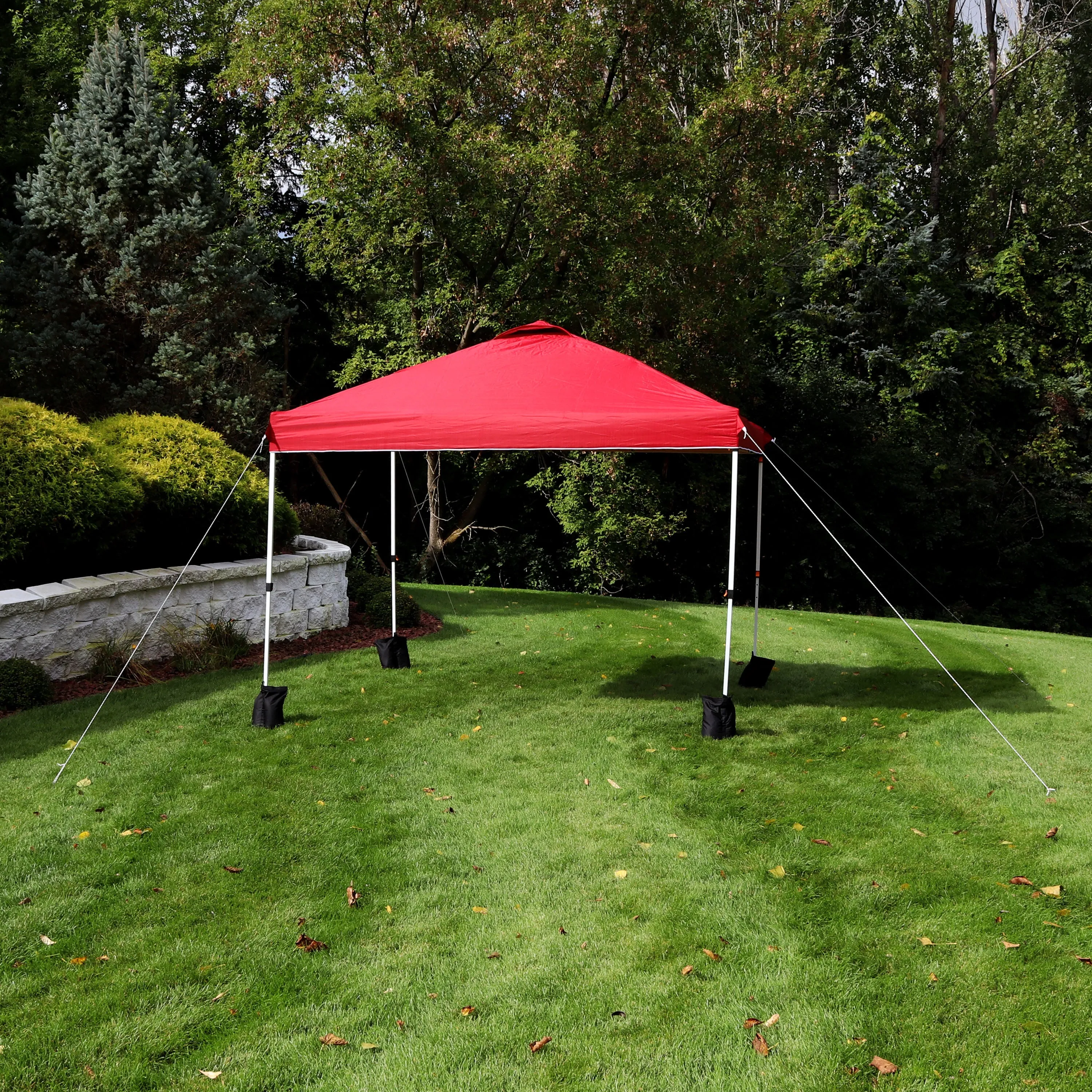 Sunnydaze Premium Pop-Up Canopy with Rolling Carry Bag and Sandbags