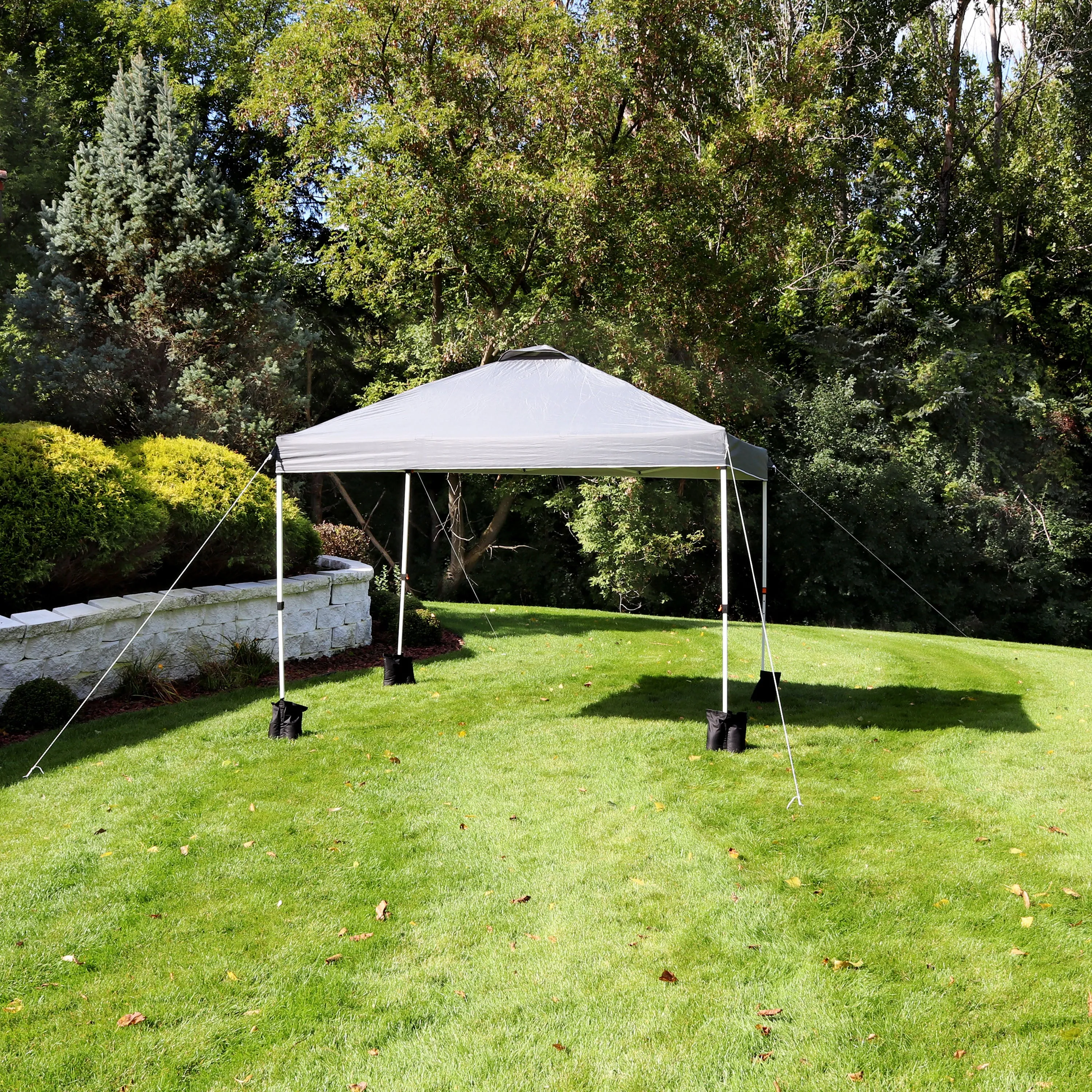 Sunnydaze Premium Pop-Up Canopy with Rolling Carry Bag and Sandbags